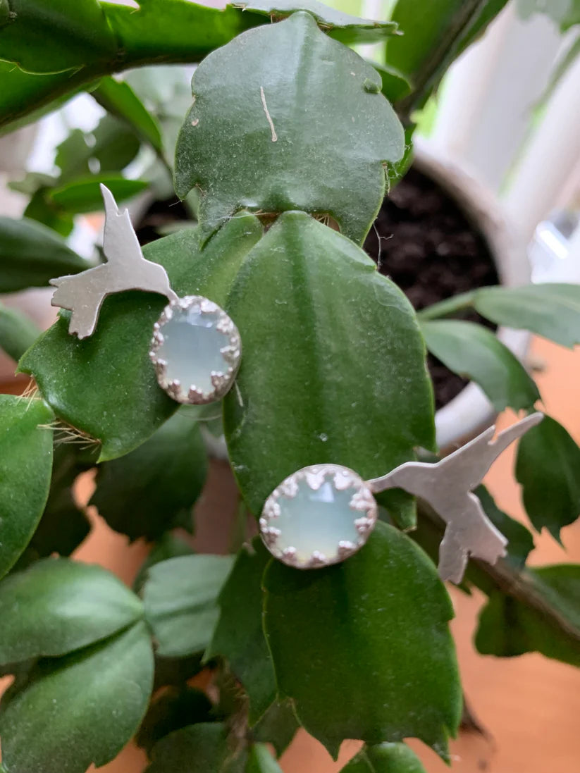 sterling silver hummingbird earrings by purple butterfly studios on a Christmas cactus